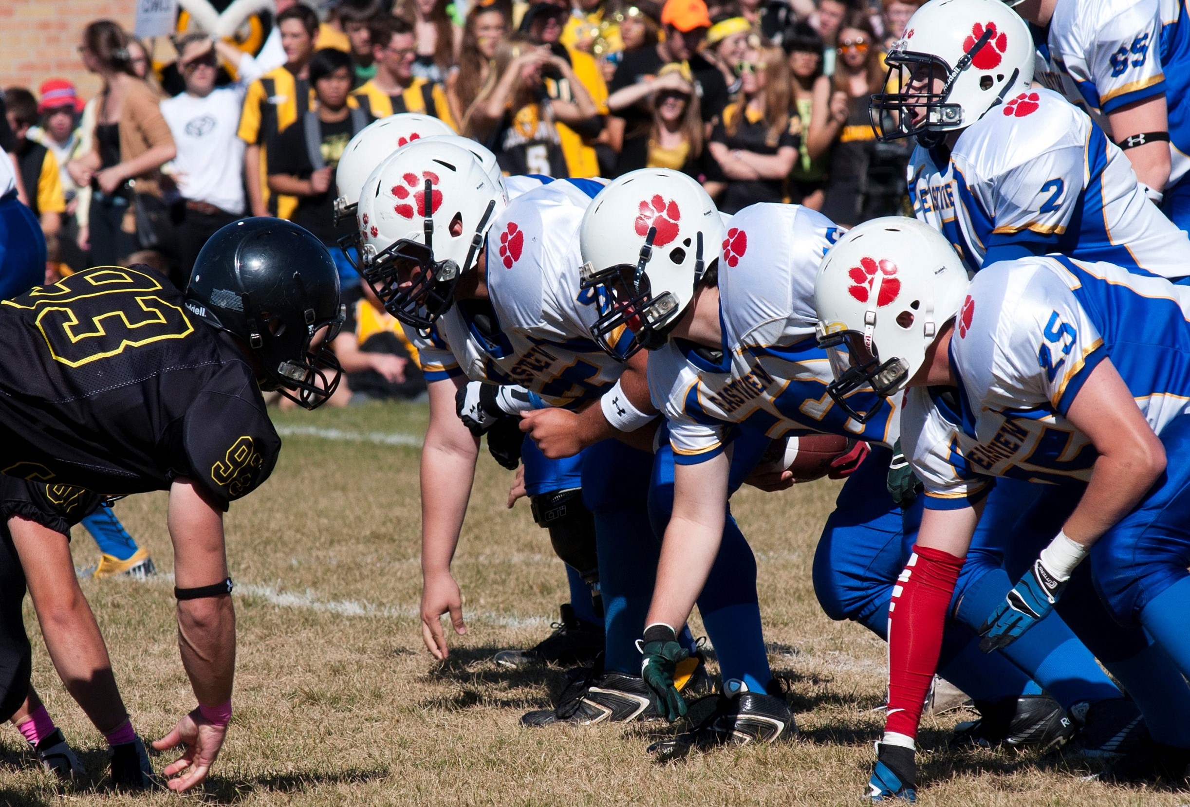sports in schools